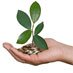 Image associated to the following element: Call for green fund